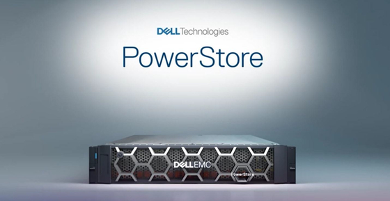 Σκληρός δίσκος NVME SSD Dell EMC Powerstore T1000 1000x της Dell EMC